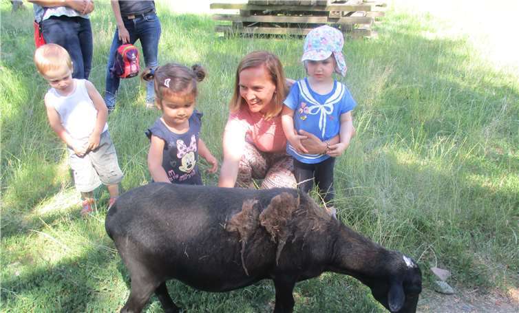 Höhepunkt des Besuchs auf dem Schwanenteich-Gelände war für die Kinder, die zutraulichen Schafe und Ziegen streicheln zu dürfen. Foto: privat