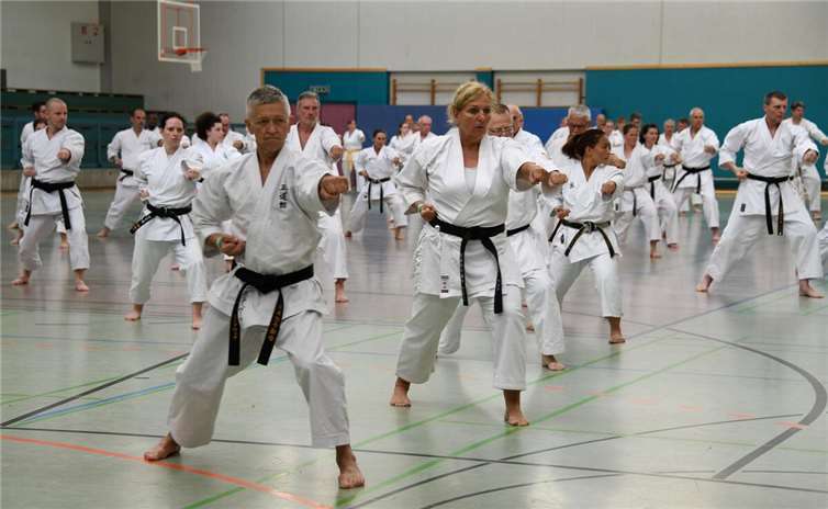 Hüfte und Schulter im Fokus – Karate-Training mit Bundestrainer Efthimios Karamitsos. Fotos: Karate Dojo Mayen-Mendig