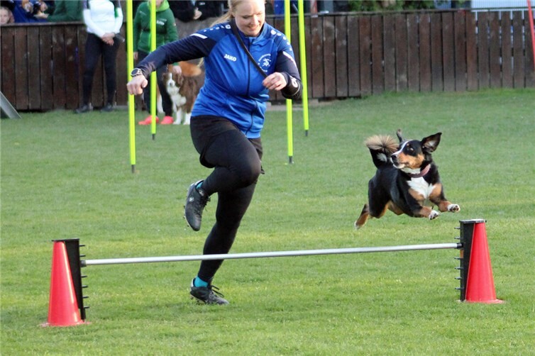 Erfolgreiches Turnier in Sinzig