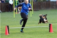 Erfolgreiches Turnier in Sinzig