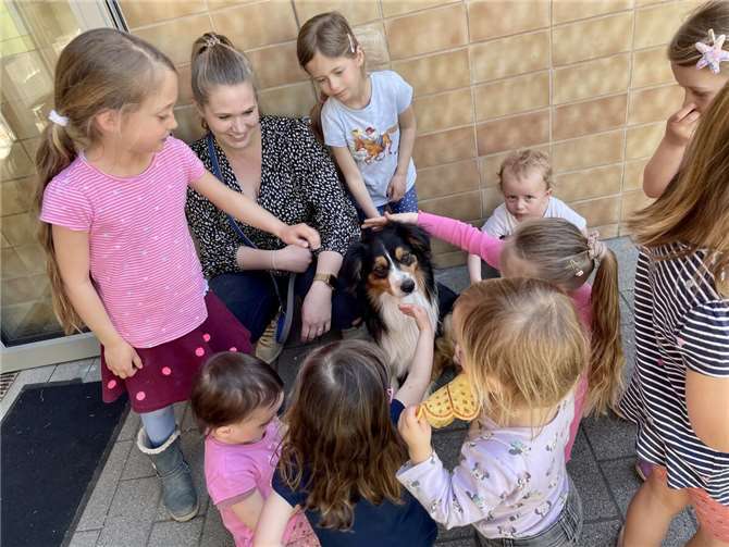 Hund Blue ist außerordentlich beliebt.  Foto: privat