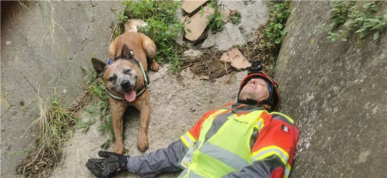 Hund Reddington (Rasse: Australian Cattle Dog) beim Auffinden des „Verletzten“.  Fotos: privat