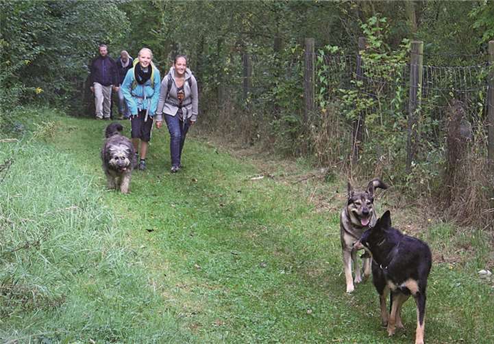 Hunde schafften den Aufstieg aus dem Hähnerbachtal lockerer als ihre Frauchen. DL
