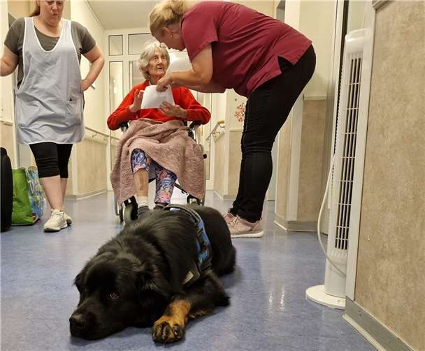 Besser wohnen und leben im Alter: Sankt Antonius-Seniorenresidenz in Linz Hunde sind fast überall dabei in der Linzer St. Antonius-Seniorenresidenz.