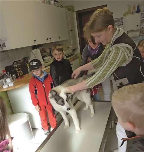 Hundetrainerin Frau Peneter aus Drees schaute mit ihren zwei Therapiehunden „Ajax“ und „Lissy“ vorbei.