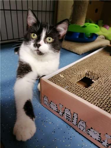 Ida.  Foto: privat