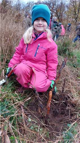 Ida und die kleine Buche.