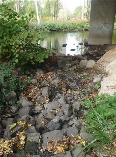 Idienbach: Mündung in die Ahr trockengefallen ohne besondere Hitze im November 2020.