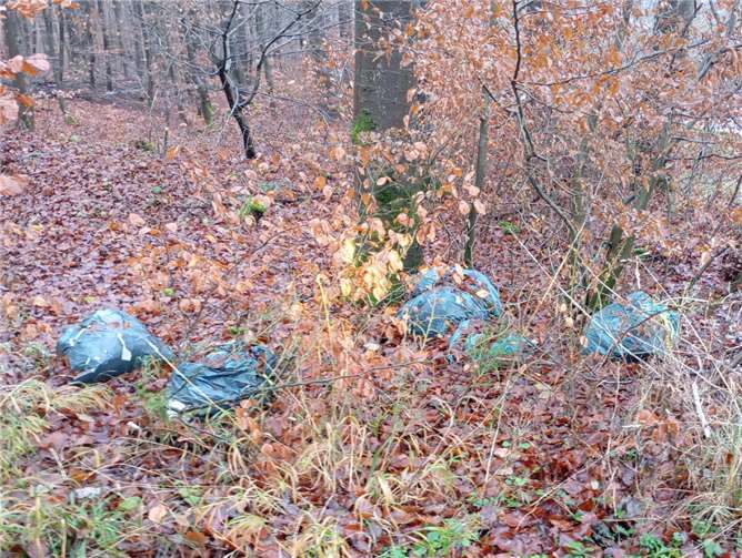 Hohe Strafe für Müllsünder Illegal Abfälle zu entsorgen, kann den Verursacher teuer zu stehen kommen. Foto: Symbolbild/Karsten Kaiser
