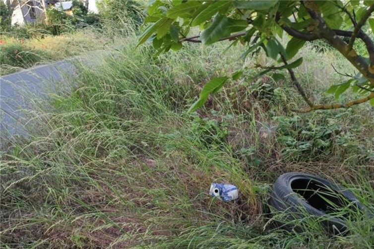 Illegale Müllablagerung am Straßenrand