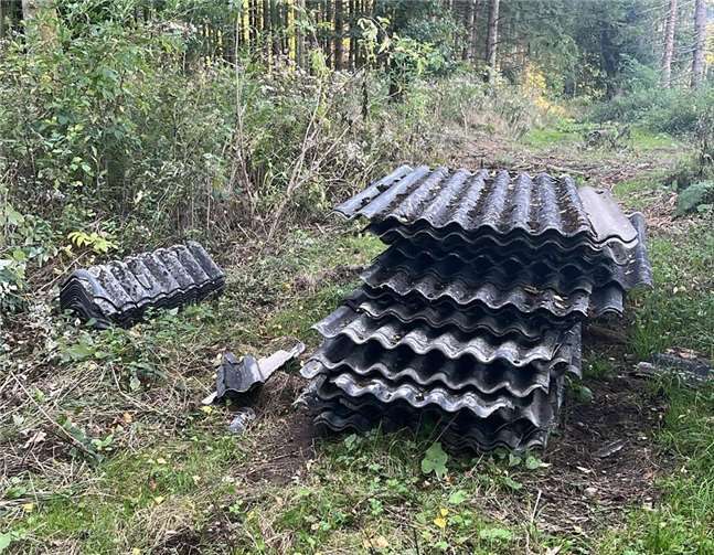 Illegaler Müll im Müll von Hartenfels. Foto: privat