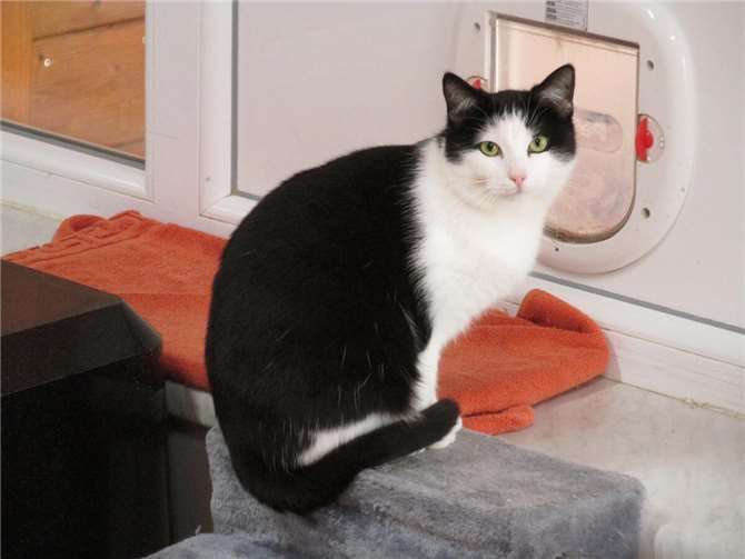 Ilonka. Fotos: privat