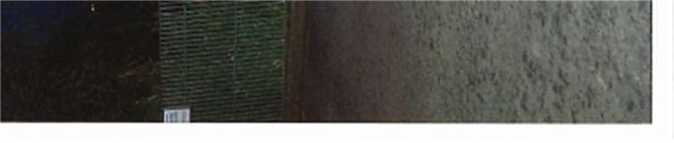 Im Anschluss an die Ehrung fand eine Abendführung durch den Zoo Neuwied statt. DRK Engers