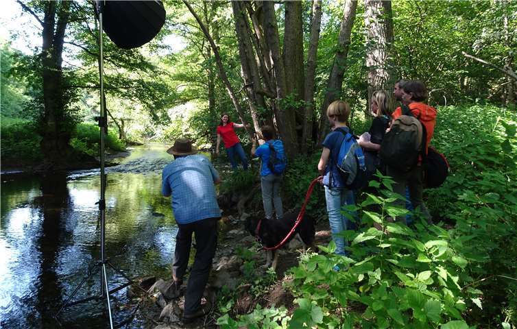 Im Auen- und Uferbereich des Netteabschnitts oberhalb der Oberwerthsmühle entstanden die meisten Aufnahmen.Quelle: