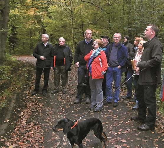 Im Bendorfer Stadtwald informierte sich der Waldausschuss auch über die Überholung der Maschinenwege auf ehemaligen Bimsflächen sowie die Förderung der Naturverjüngung. privat