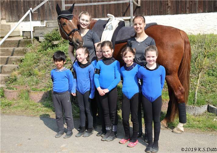 Im Einzel M wurde Melinda Baulig von Longenführerin Heide Pozepnia auf Pferd Dunhill vorgestellt. Fotos: Dr. Kâlogrêant S. Dittmer