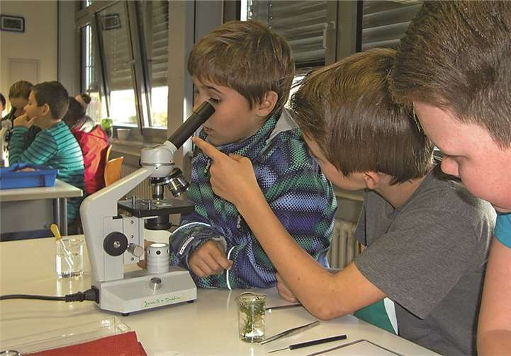 Im Fachbereich Biologie wurden die eifrigen Grundschüler zum Arbeiten am Mikroskop angeleitet.