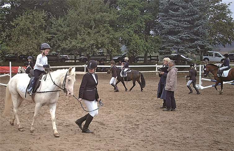 Im Führzügelwettbewerb zeigten bereits die jüngsten Teilnehmer ab fünf Jahren ihr Können.  Privat