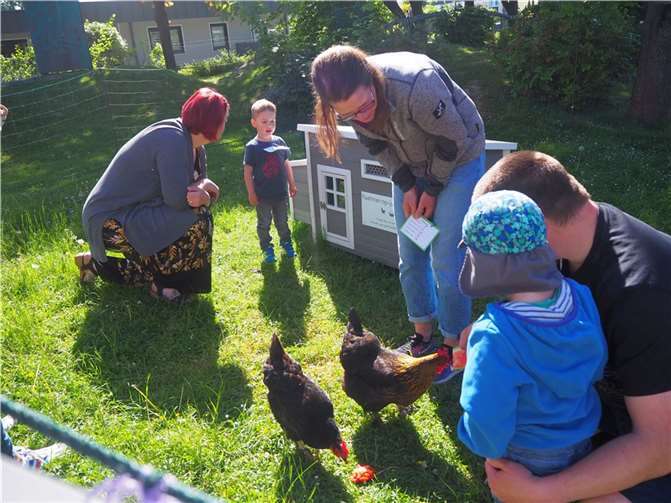 Im Gehege gingen die Kinder und Erwachsenen auf Tuchfühlung mit den Hühnern. Foto: Stadt Meckenheim