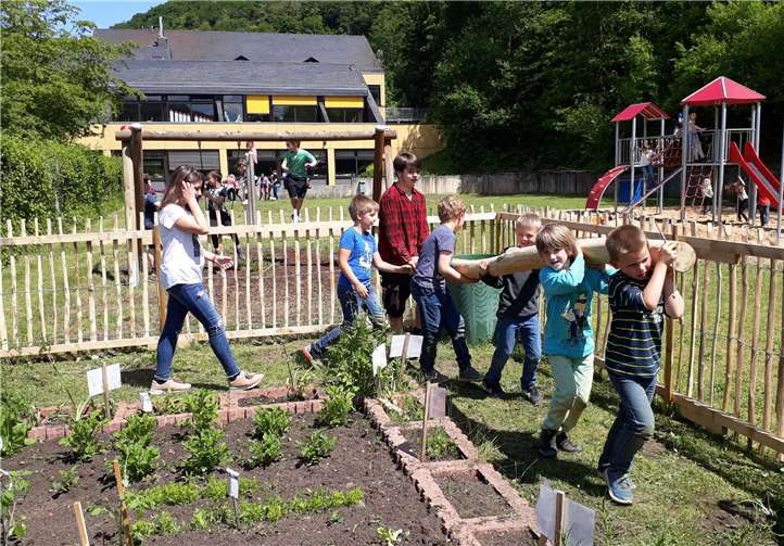 Im Gleichschritt transportierten die Jungen und Mädchen den zwei Meter langen Robinienstamm in den Schulgarten.Foto: MT