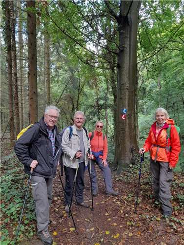 Im Herbstwald der Linzer Basaltschleife. Foto: Eifelverein Remagen