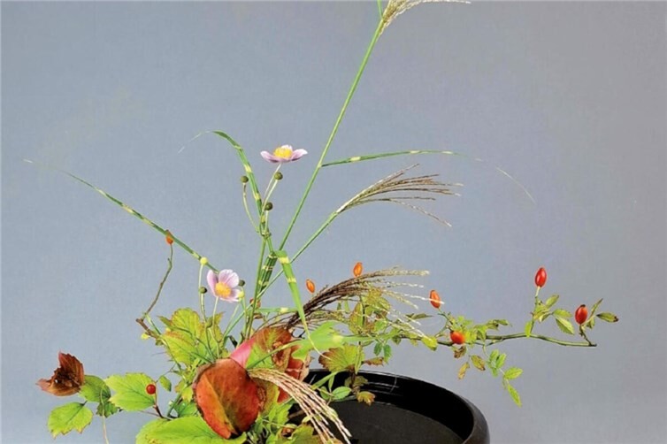 Im Ikebana ist es wichtig, (einzelne) Zweige und Blumen in ihrem individuellen Charakter zu studieren und harmonisch mit anderen zusammenwirken lassen.