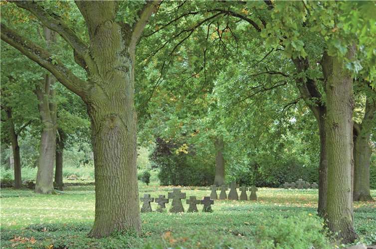 Das Elend der Kriegsgefangenen  Im Jahre 1957 erhielt der Soldatenfriedhof von Bad Bodendorf seine heutige Gestaltung.privat