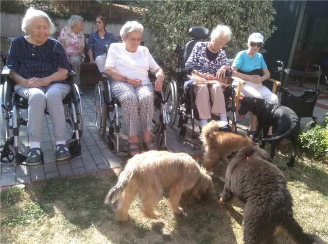 Im Johanneshaus Meckenheim waren sechs Welpen zu Besuch.privat