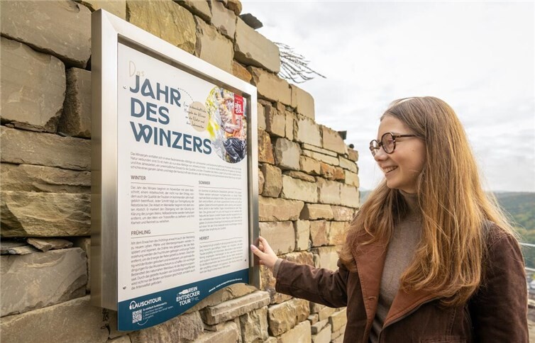 Im Juni lädt der Gesprächskreis zu einer geführten Wanderung entlang der neuen Wein-Entdecker-Tour in Ahrweiler  Foto:Dominik Ketz