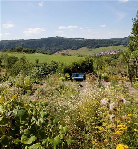 Im Klostergarten der Waldbreitbacher Franziskanerinnen finden regelmäßig verschiedene Veranstaltungen statt.privat