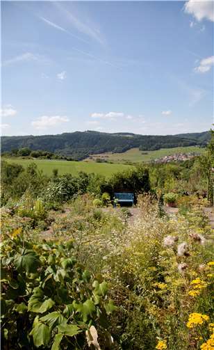 Im Klostergarten der Waldbreitbacher Franziskanerinnen finden regelmäßig verschiedene Veranstaltungen statt. Foto: privat
