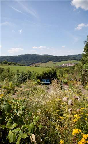 Im Klostergarten der Waldbreitbacher Franziskanerinnen finden regelmäßig verschiedene Veranstaltungen statt. Foto: privat