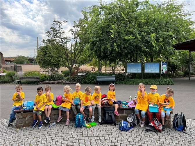 Im Kölner Zoo stand der Besuch des Löwengeheges an oberster Stelle, denn der Löwe war das Erkennungszeichen des „Clubs der Starken 12“. . Foto: Kita St. Lambertus, Gimmigen