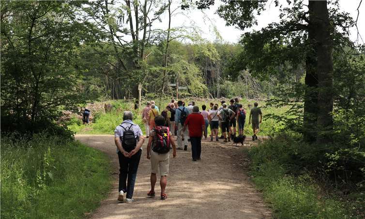 Im Kottenforst ließen sich die Folgen der Extremwetterlagen vergangener Jahre am Zustand einiger Bäume ablesen. Foto: privat