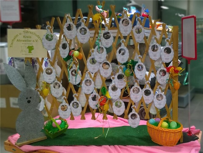 Im Kreis Ahrweiler und in der Gemeinde Wachtberg besteht erneut die Möglichkeit, den Schützlingen im Tierheim Remagen Wünsche zu erfüllen und als „OsterwunschEI-Erfüller“:in aktiv zu werden. Foto: privat