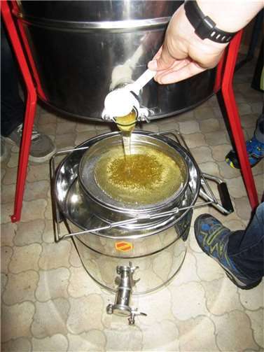 Im Kreis Neuwied konnten in diesem Sommer nur 7-10 Kilo Honig pro Bienenvolk geschleudert werden. Fotos: Uwe Hüngsberg