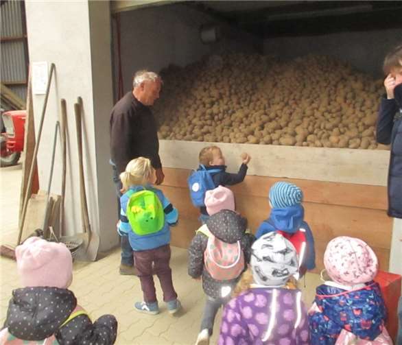 Im Lager sahen die Kinder die riesigen Kartoffeln.privat