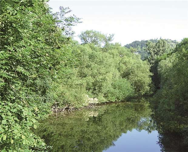 Im Laufe der Zeit haben sie die Strömungsverhältnisse der Wied verändert.privat