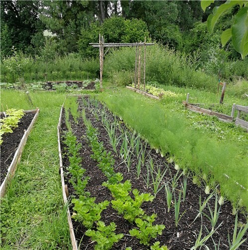 Im März startet die neue Saison der solidarischen Landwirtschaft.Foto: privat