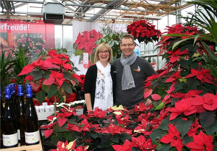 Im Meer von Weihnachtssternen: Christa und Norbert Hammer begrüßten in ihrer Gärtnerei zahlreiche Gäste.-HG-