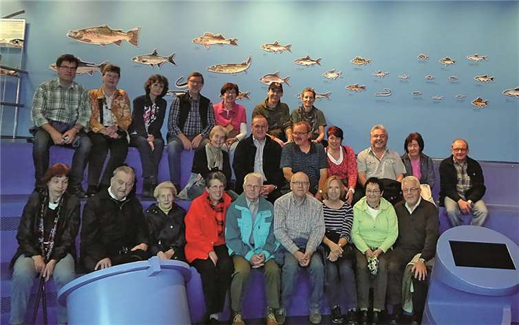 Im „Mosellum“ gab es innerhalb einer Führung allerhand Interessantes und Wissenswertes über den Fischbestand und die Wanderungen der Flussbewohner von Rhein und Mosel zu hören und zu sehen.Privat