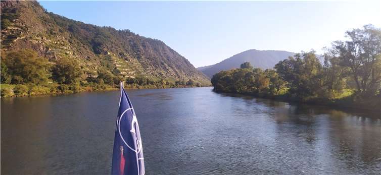 Im Moseltal. Fotos: privat