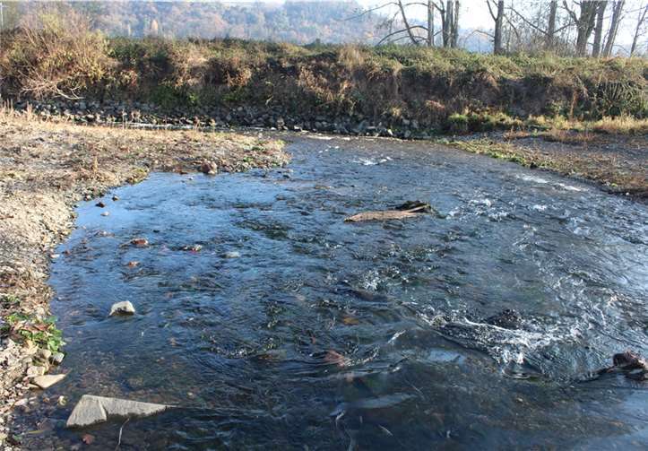 Im Mündungsdelta verändert sich das Bild ständig.