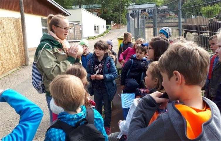 Im Neuwieder Zoo hatten die Kinder viel zu entdecken. privat