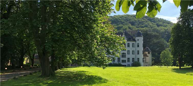 Im Park von Schloss Namedy können bis zu 300 Gäste die Veranstaltungen besuchen. Foto: privat
