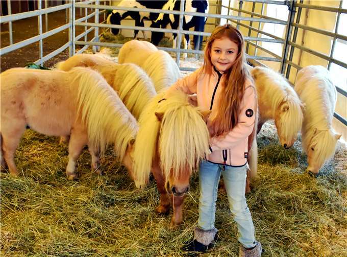 Im Pferdestall auf der Kirmeswiese ist Angel Wille gerne bei ihren Lieblingen. Fotos: HEP