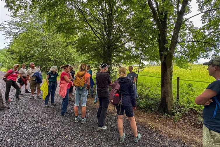 Im Praxisteil wurden direkt am Wanderweg wertvolle Informationen zur Markierung, Beschilderung und Pflege der Wanderwege vermittelt. 