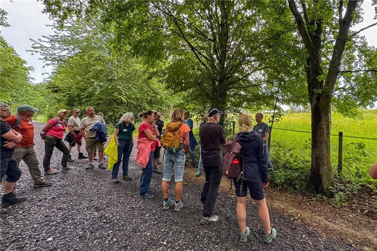 Im Praxisteil wurden direkt am Wanderweg wertvolle Informationen zur Markierung, Beschilderung und Pflege der Wanderwege vermittelt.