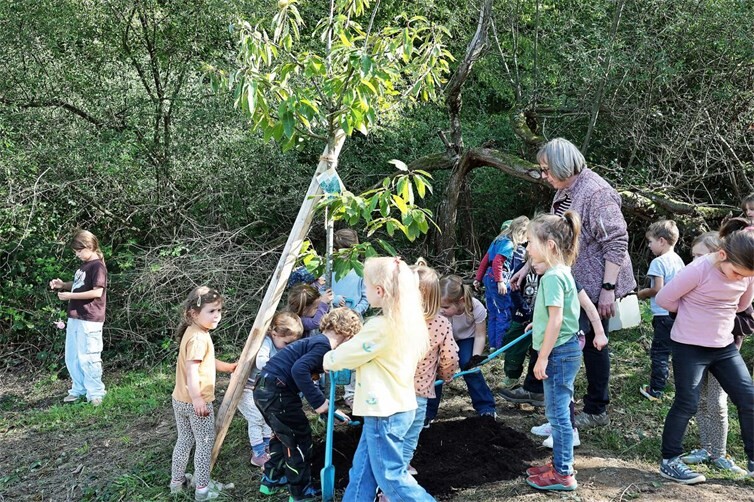 Im Rahmen der Woche der Kinderrechte pflanzten die Kinder eine Esskastanie am Schul- und Kindergartenwald – ein Baum, der sie hoffentlich noch viele Jahre begleiten wird.