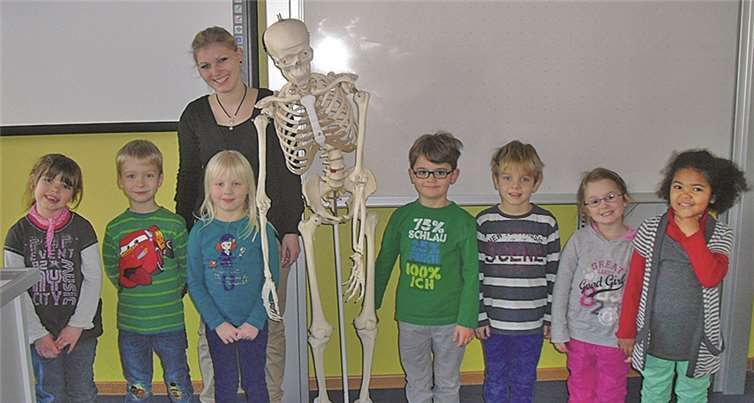 Im Rahmen des Projekts konnten die Kinder auch in den Unterrichtsräumen der Realschule plus ein naturgetreues Skelett untersuchen. privat